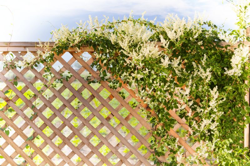 Garden Trellis Installation in Wilmington, NC
