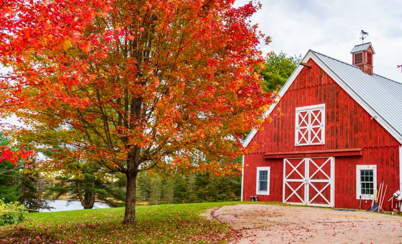 Barn Remodeling in Conroe, TX